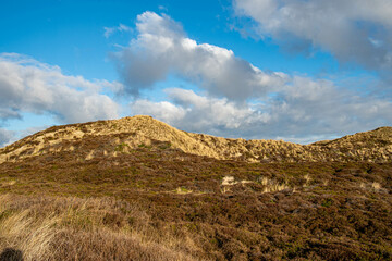 Dünen auf der Insel Sylt in der Nähe von List in der Abendsonne