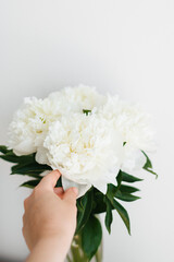 bouquet of white peonies in hand