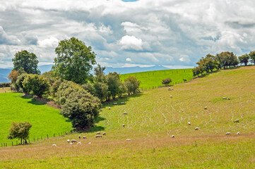 Fototapeta premium Scenery around the hills of Wales.