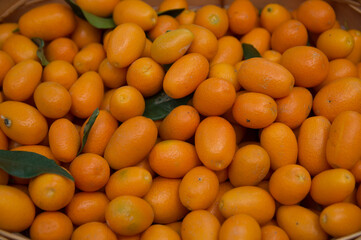 Vista superior del grupo de kumquats frescos en el mercado de comida orgánica. 