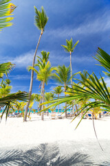 Dominican Republic travel destination, beach scene - obrazy, fototapety, plakaty