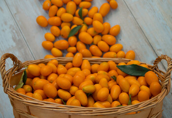 Vista superior del grupo de kumquats frescos en el mercado de comida orgánica. 