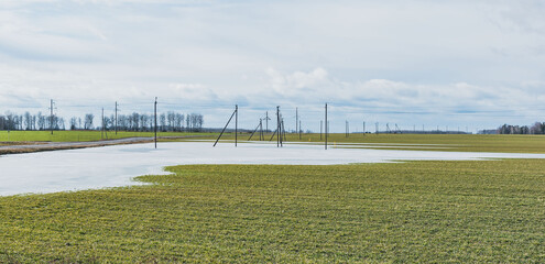 Frozen water in a sown field