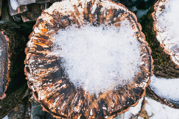 Snow on a wooden block