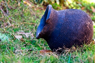 Small pot next to green vegetation. 