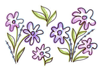 Fototapeta na wymiar Set violet flower and green leave. Provence illustration