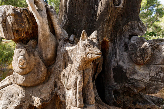 The remains of an old dry tree with a snail, a wolf and a beetle carved on a trunk in the Totem park in the forest near the villages of Har Adar and Abu Ghosh