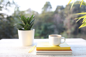 Coffee cup and notebooks and snake plant