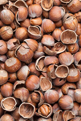 hazelnuts peeled from the shell