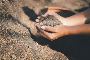 Farmers hold arable manure. Responsible and sustainable agricultural production.