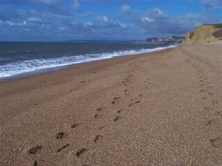 footprints along the beach and sea