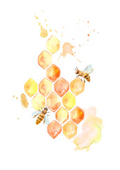 Honeycomb and bee .Watercolor hand drawn illustration.	 - 486306858
