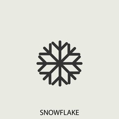 Snowflake vector icon illustration sign