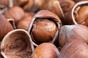 hazelnuts peeled from the shell