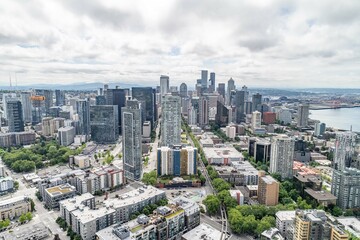 Fototapeta premium creative