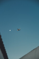 avion 