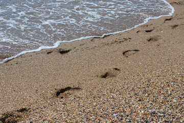 Footprints of a man on the yellow beach sand from walking barefoot by the sea with water that washes away the footprints.