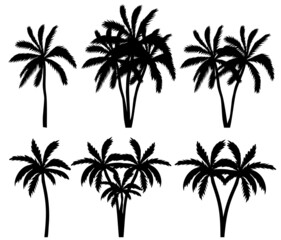 palm trees set silhouette ,on white background, vector