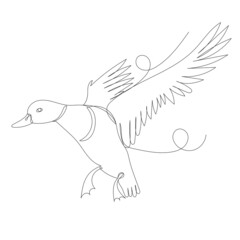 duck flying contour one line sketch vector