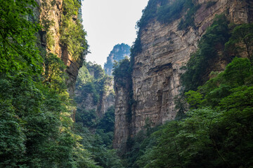 Mountains of Zhangjiajie park in China