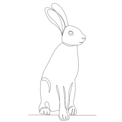Obraz premium hare one line outline, vector sketch
