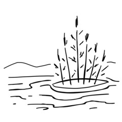 Doodle swamp. Sketch of natural pond or lake with reeds and sedge. Line design