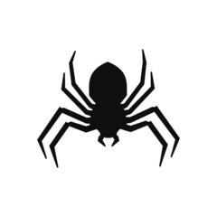 Spider Logo design vector template