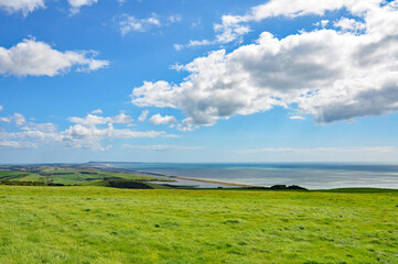 Fototapeta na wymiar Dorset landscape in the summertime.