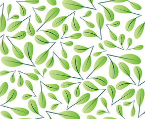 Bright green leaf pattern. suitable as background