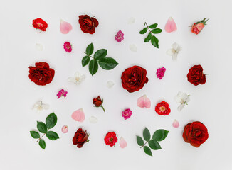 Floral pattern made of beautiful rose buds on white background. Nature concept. Top view. Flat lay