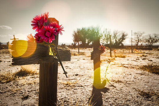 Plastic Flowers