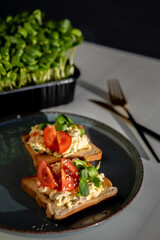 stuffed toast bread with microgreens and tomato on a plate, selectiv focus, defocus