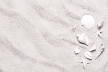 Fototapeta na wymiar Beautiful seashells and starfishes on beach sand, flat lay. Space for text