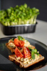 stuffed toast bread with microgreens and tomato on a plate, selectiv focus, defocus