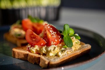 stuffed toast bread with microgreens and tomato on a plate, selectiv focus, defocus