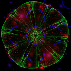 Beautiful jellyfish among plankton shines with a mysterious light
