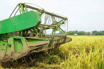 Fototapeta na wymiar Pati, Indonesia - January, 2022 : Automatic rice harvester machine is being used to harvest the fields and it is ripe and yellow in harvest season. Combine Harvester Speed up and simplify the work. 