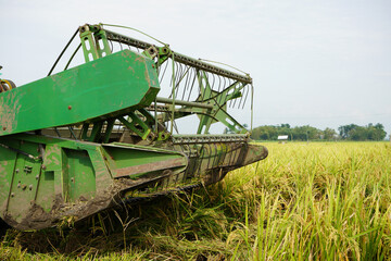 Pati, Indonesia - January, 2022 : 
Automatic rice harvester machine is being used to harvest the...