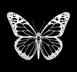 Butterfly silhouette