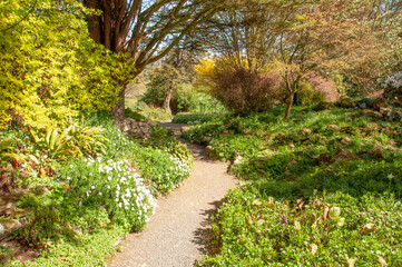 Summertime in the garden.