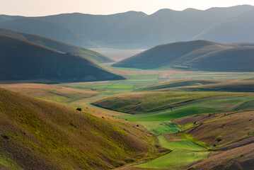 Valley with green agricultural fields in summer