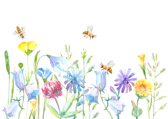 Floral border of a bee, wild flowers and herbs on a white background.Buttercup, clover,bluebell,vetch,timothy grass,lobelia,spike. Watercolor hand drawn illustration.	 - 486316880