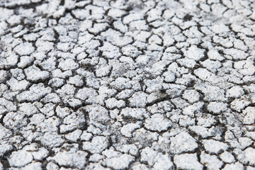 White dry earth with a web of cracks. Dry salty seabed. Salty land.