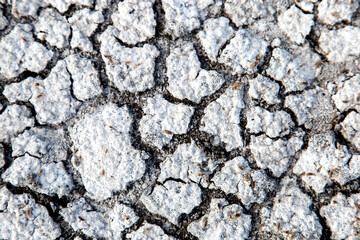 White dry earth with a web of cracks. Dry salty seabed. Salty land.