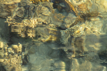 natural background abstraction of sea water