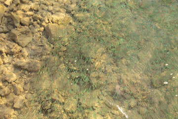 natural background abstraction of sea water
