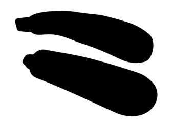 Large zucchini set. Vector image.