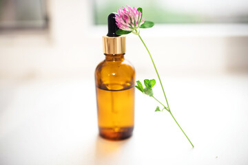 bottle with organic essential aroma oil with leaf trifolium pratense, still life with red clover flowers. preparation of elixirs from medicinal herbs by herbalists. alternative medicine. soft focus