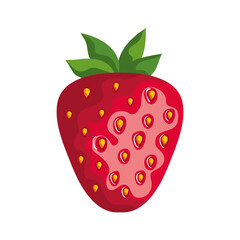 fresh strawberry fruit