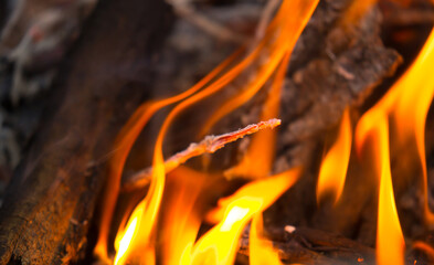 Flame of fire on black background. Fire close-up. Forest fires, burning trees. Firewood by the...